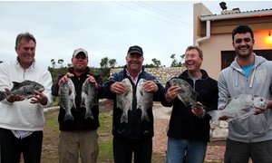Oubaas met “drinkhoed” op sy stukke